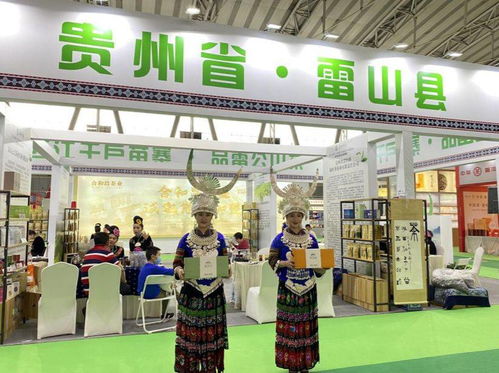 雷县茶产业推荐会在第三届哈尔滨春季茶产业博览会举